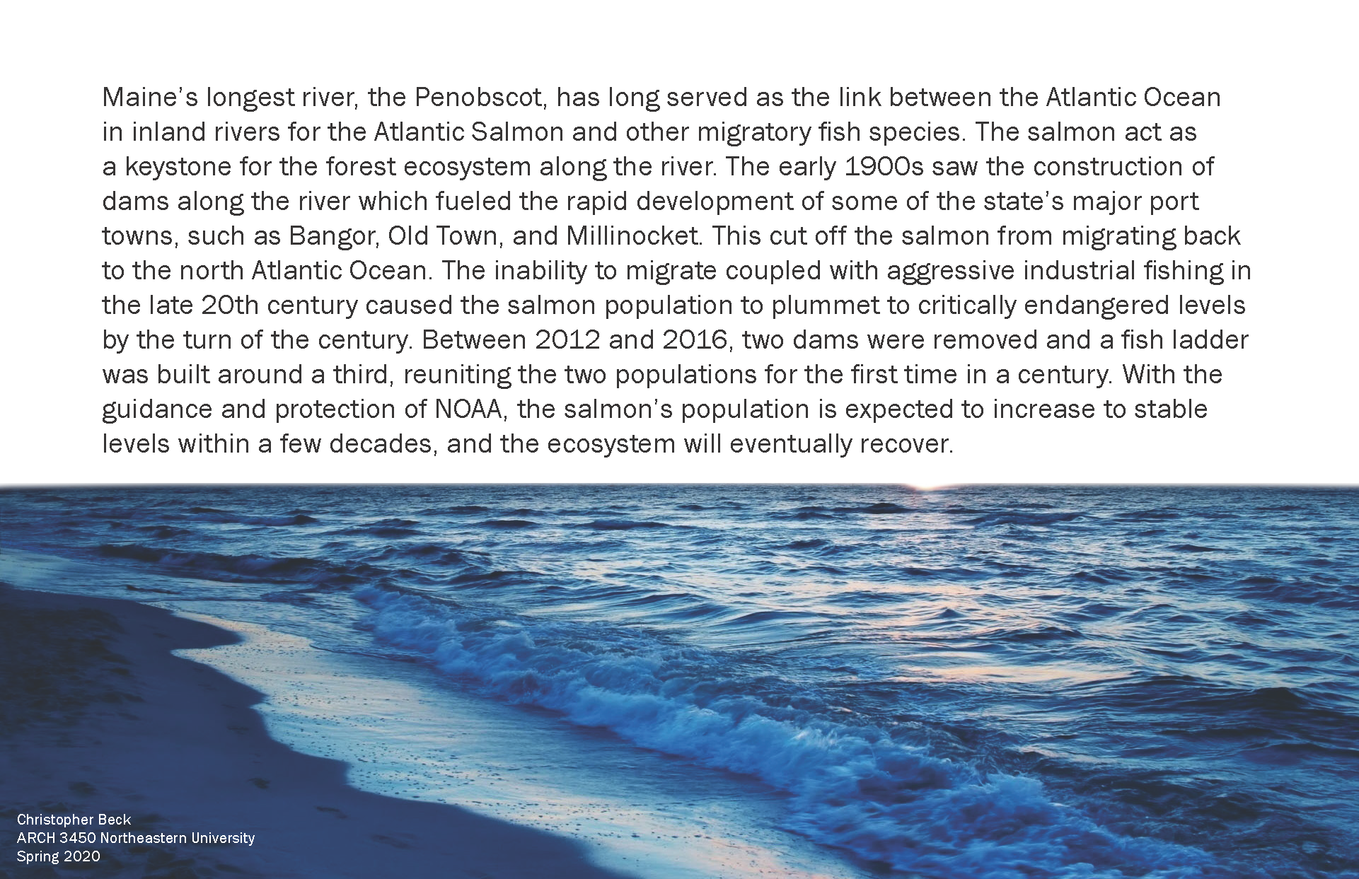 Ecology_Final_Page_03