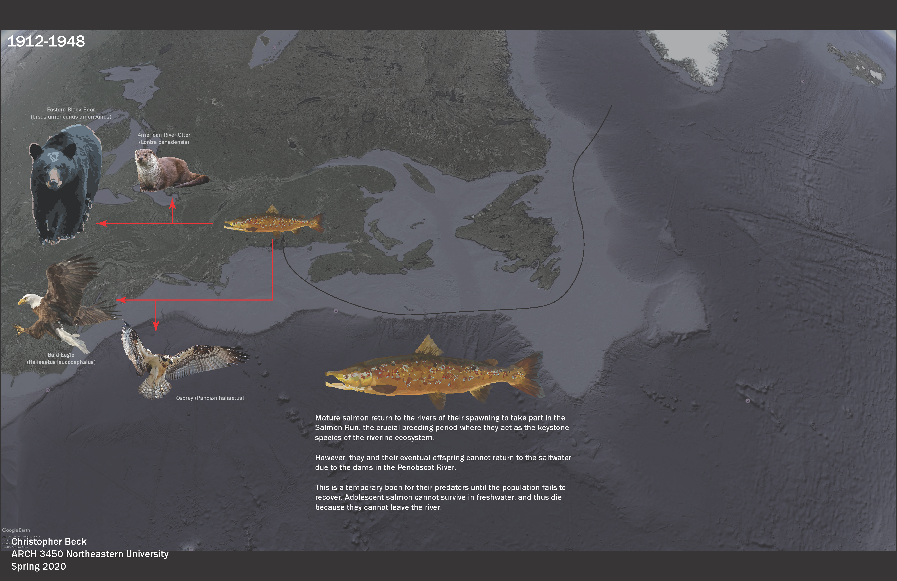 Ecology_Final_Page_09