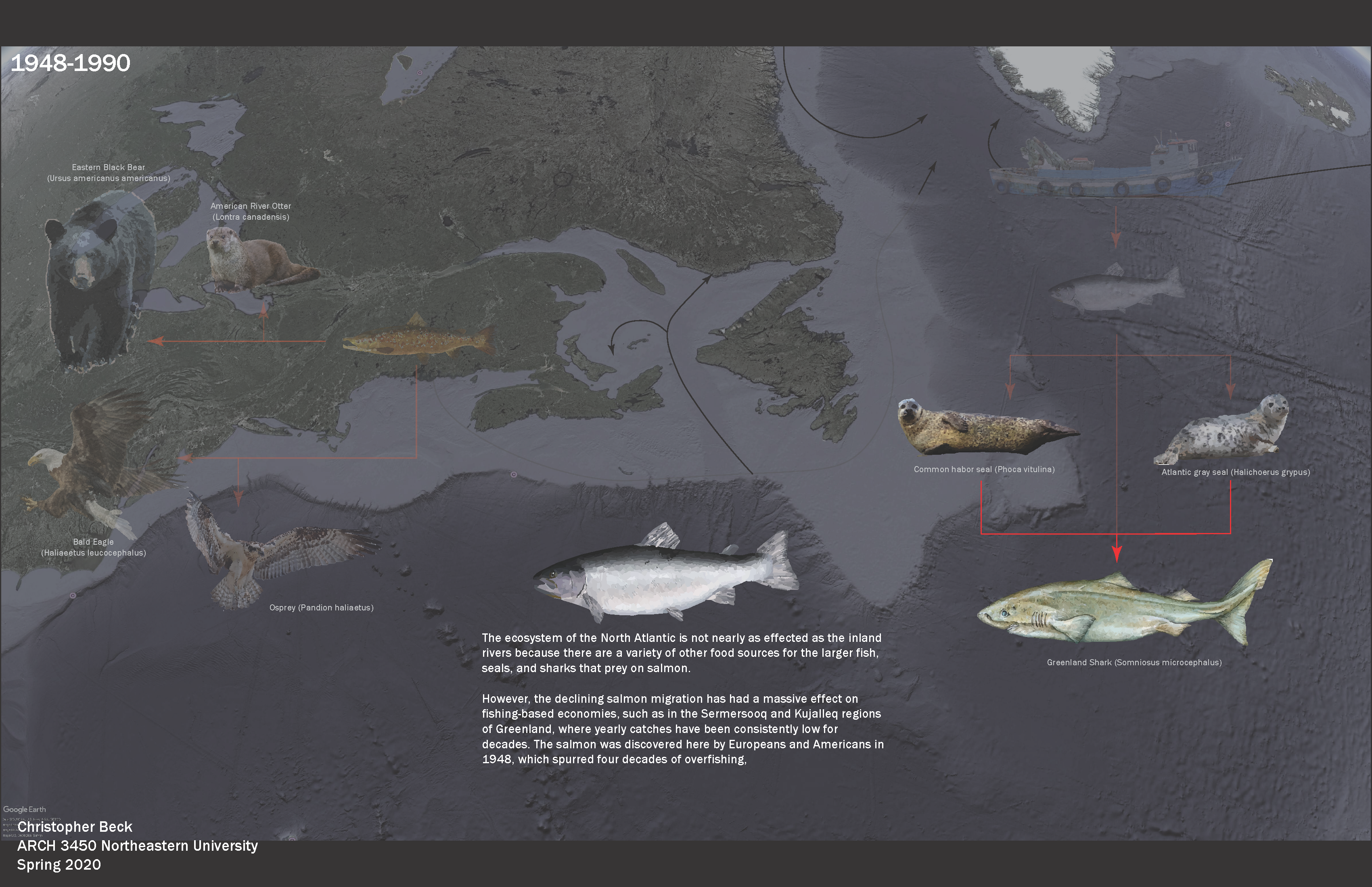 Ecology_Final_Page_10