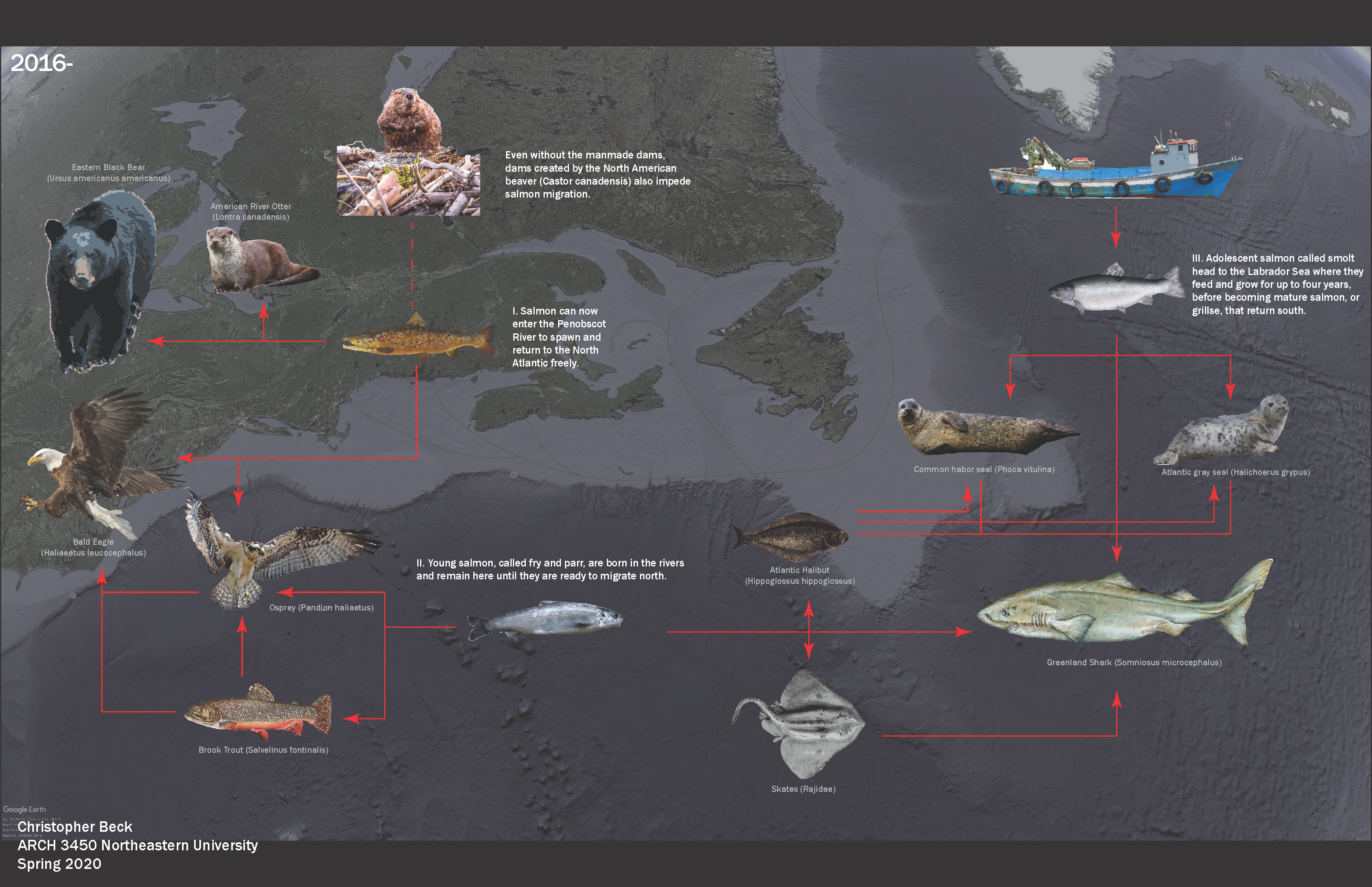 Ecology_Final_Page_11