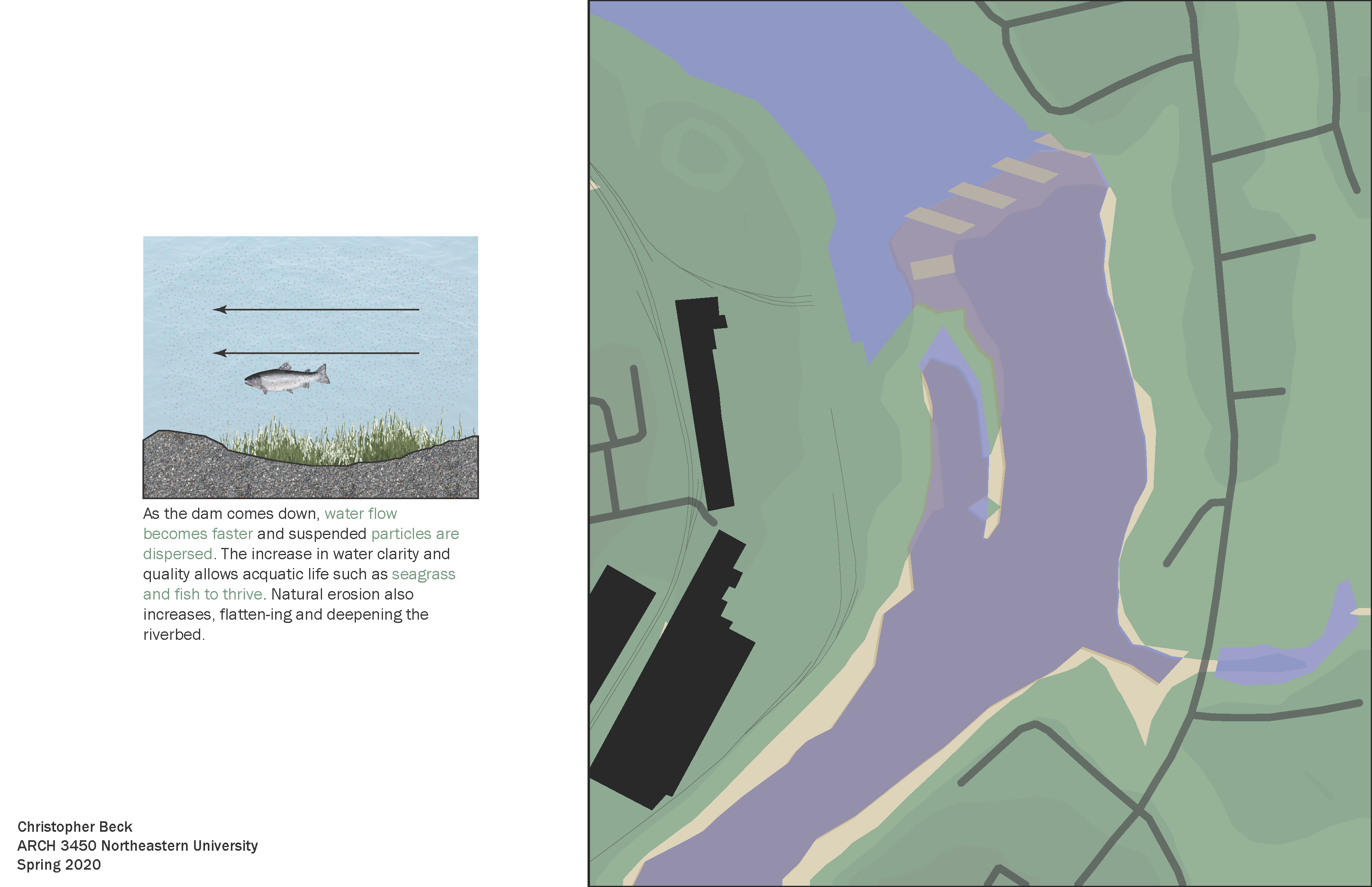 Ecology_Final_Page_25