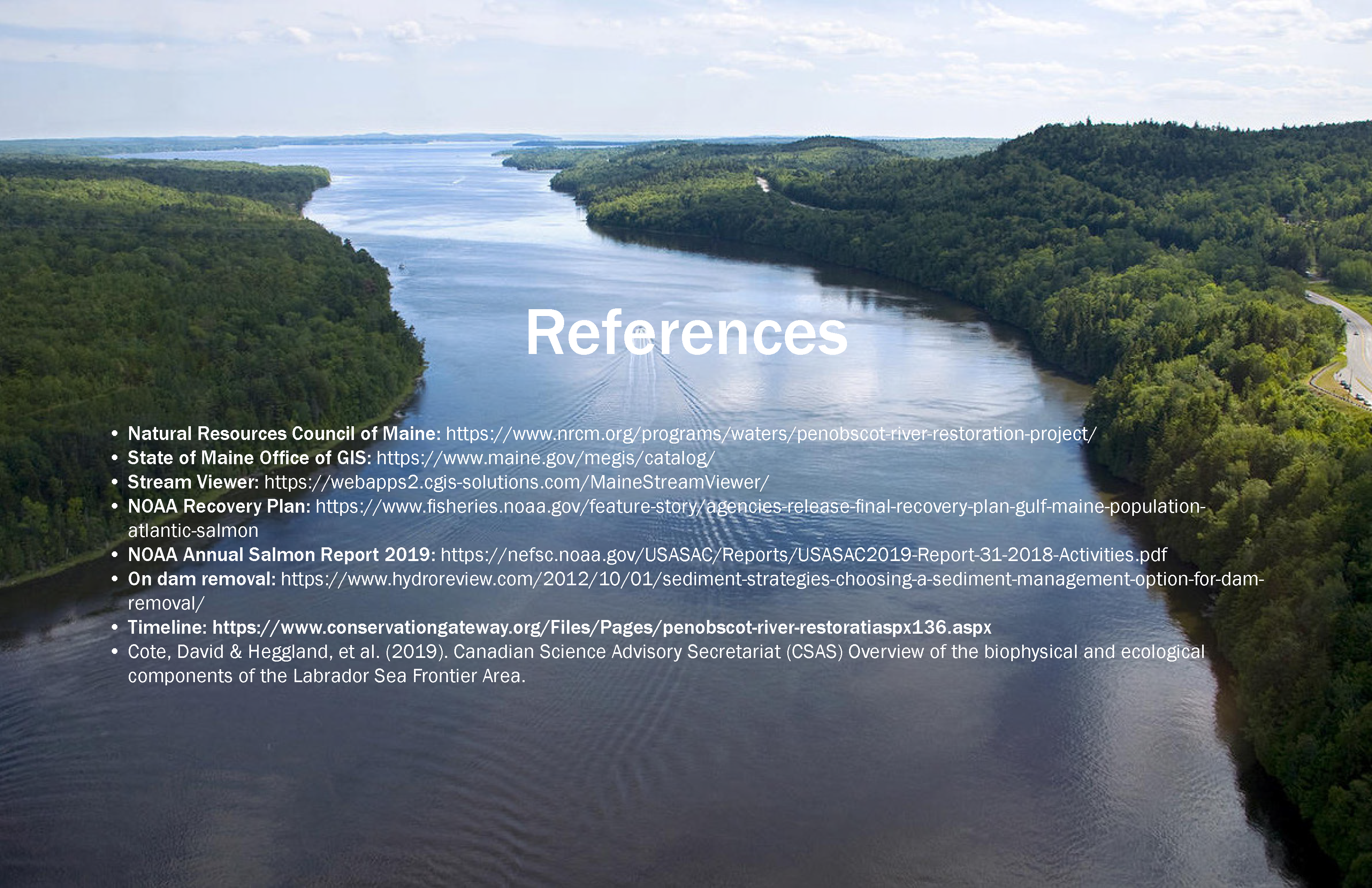 Ecology_Final_Page_27